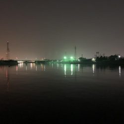 メバルプラッキング26