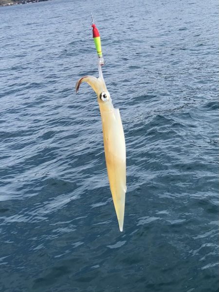 スッテでちゅー