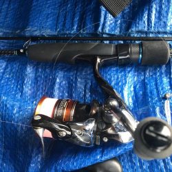 朝マズメのアジング