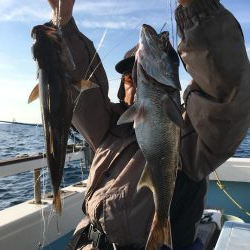 深海魚釣り‼️