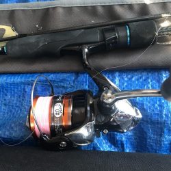 朝マズメのアジング