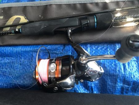 朝マズメのアジング