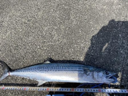 ４投で４ヒット！なのに魚は２匹だけ？（笑）