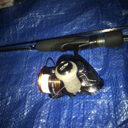 夕マズメのアジング