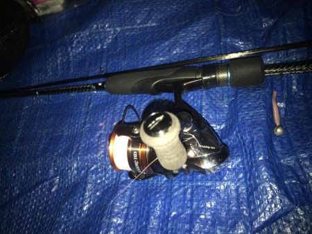 夕マズメのアジング