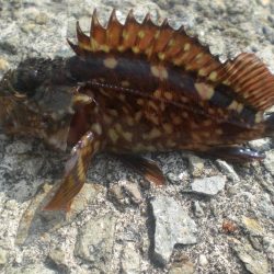 久しぶりの市役所裏