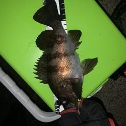 あれ？つ抜け！