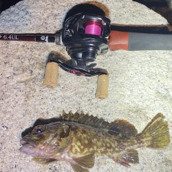 爆風の中なんとか