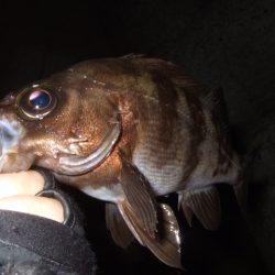 予想外に渋かった