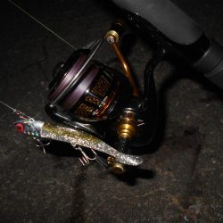 そろそろボトムパターンも終わり?。