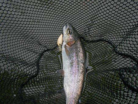 久しぶりの通天湖。