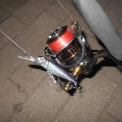 岸壁ノックでヒット②。