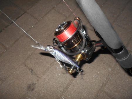 岸壁ノックでヒット②。