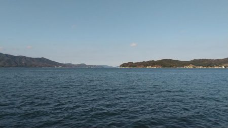 コウイカ釣れた‼️