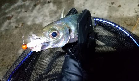 表層風ドリフト