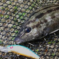 小型メタルジグ