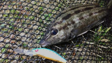 小型メタルジグ