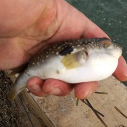 富津岬の先っちょです