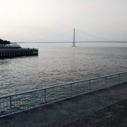 条件は悪くないはずなのに・・・