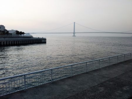 条件は悪くないはずなのに・・・