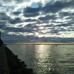 スレ掛かりのみ