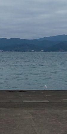 毎度です。リベンジヤリイカ釣り。