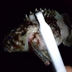 ライトゲームで3目