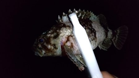 ライトゲームで3目