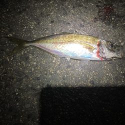 ええのんきました