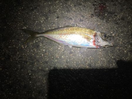 ええのんきました