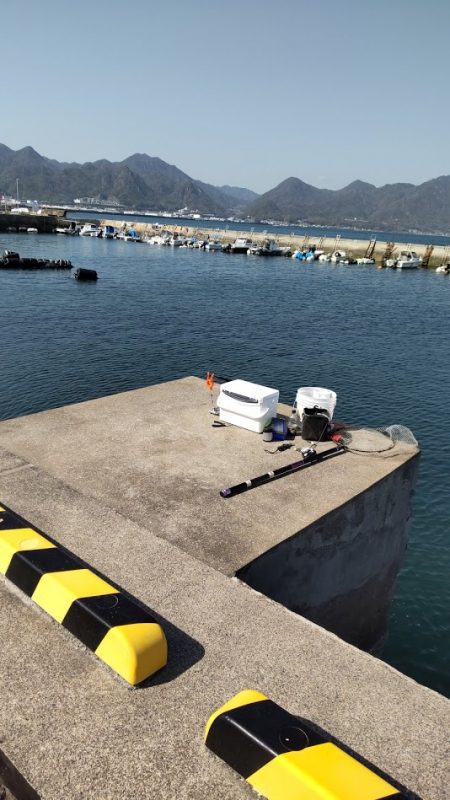 チヌ39㎝ 波止かかり釣り