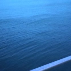 アジ尺オーバー