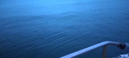 アジ尺オーバー