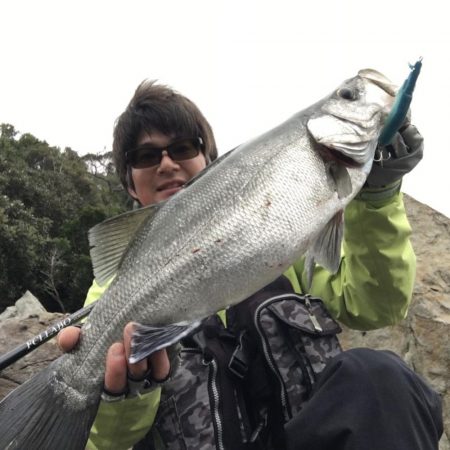 A.P.P フィッシングガイドサービス　プロトルアーにヒラスズキRIDE ON!!