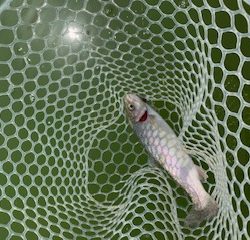 岸和田フィッシングパーク　