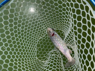 岸和田フィッシングパーク　