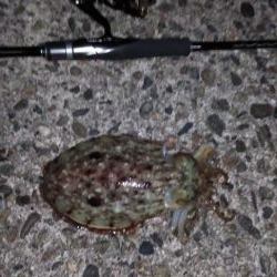 ヤリにいってコウでした