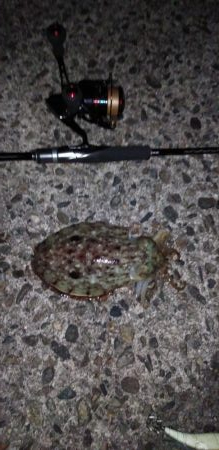 ヤリにいってコウでした