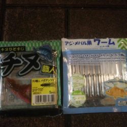 釣りデビュー　111日目