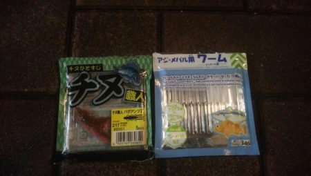 釣りデビュー　111日目