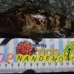 釣りデビュー 115日目