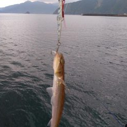 小エソ後巨エソとライトゲーム