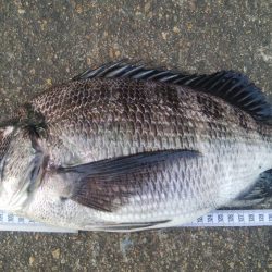 釣りデビュー 117日目