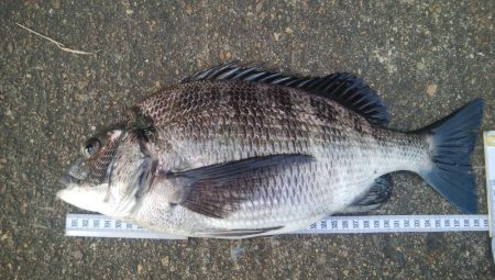 釣りデビュー 117日目