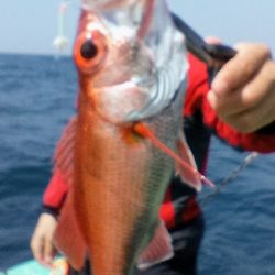 康仁丸・餌釣り・ジギング釣り果