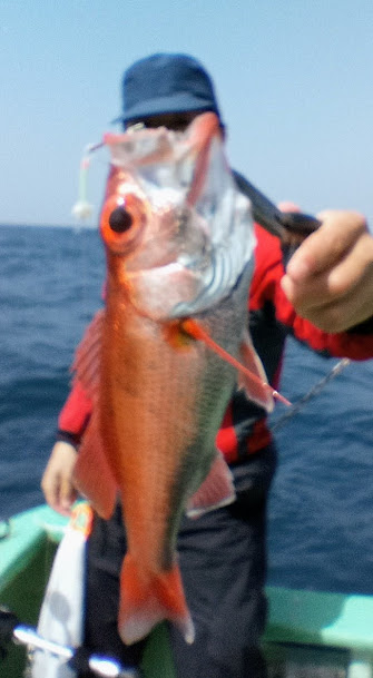 康仁丸・餌釣り・ジギング釣り果