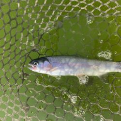 初服部緑地公園