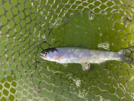 初服部緑地公園