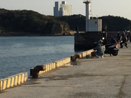 良型アジ、メバル、ヒイラギ