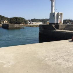 アジ良型（27㎝）を含む20匹